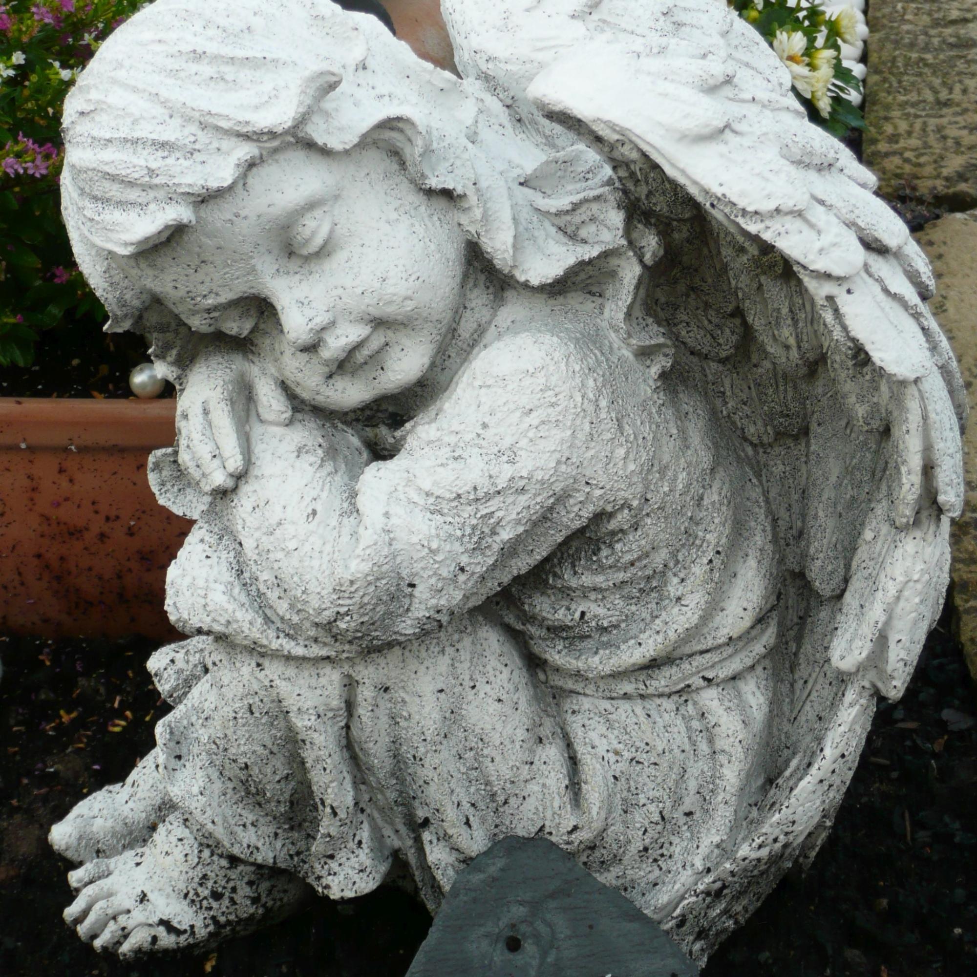 Engel