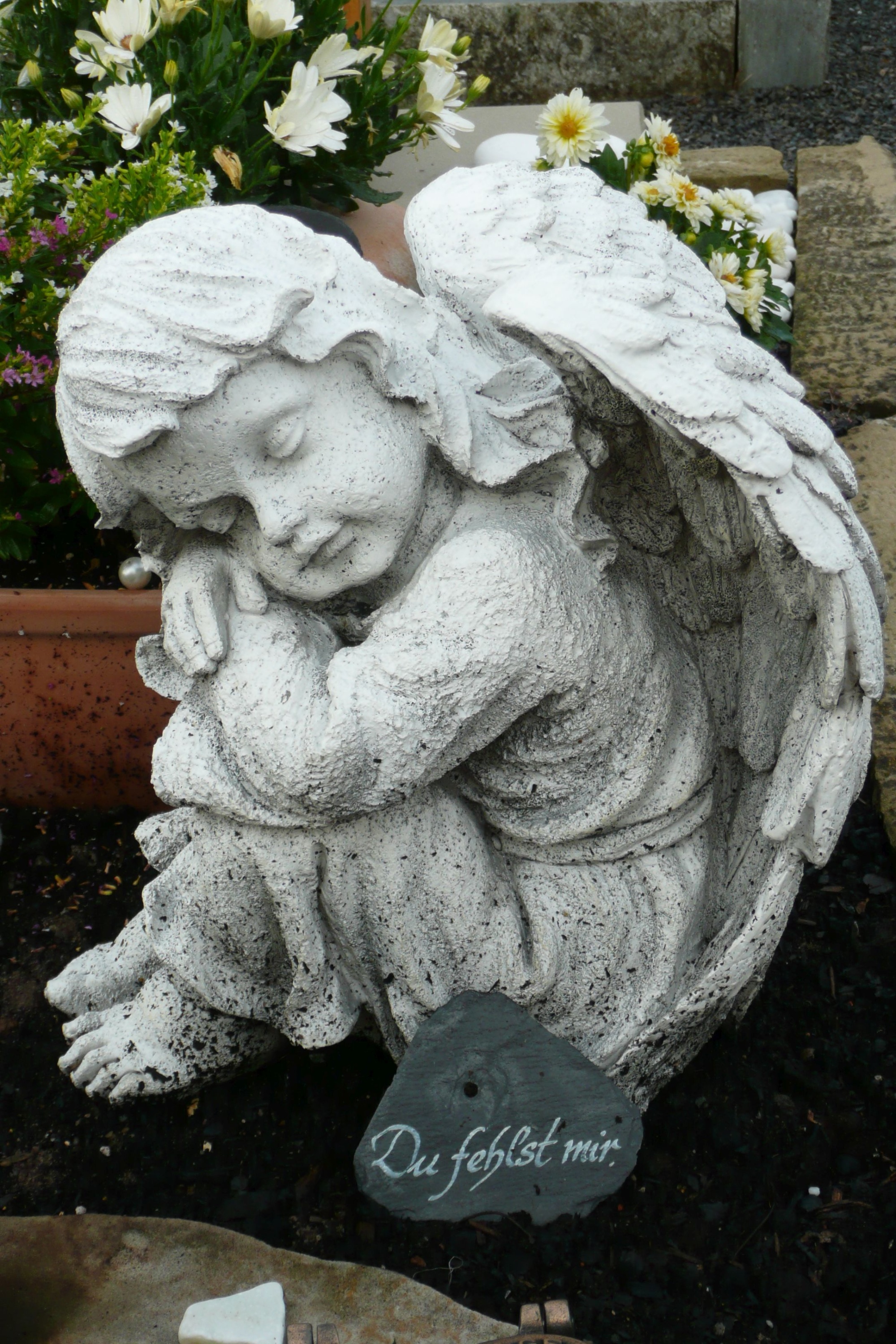 Engel